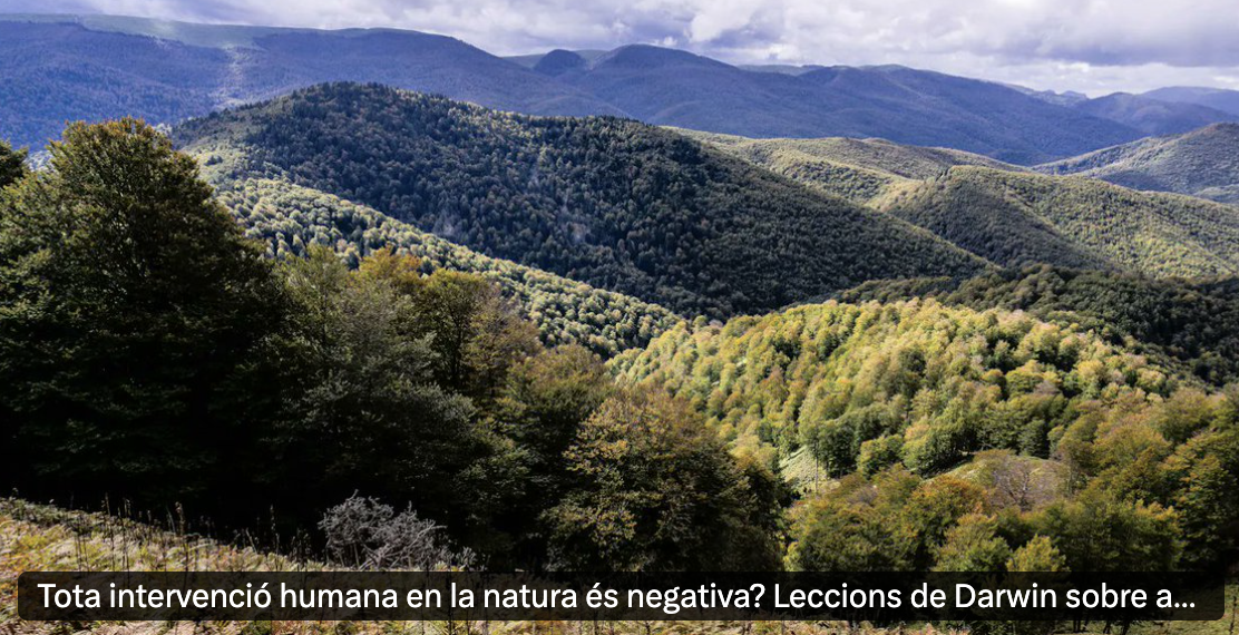 Article_LaConversa_23_06_26