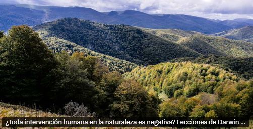 Article_TC_29_04_26