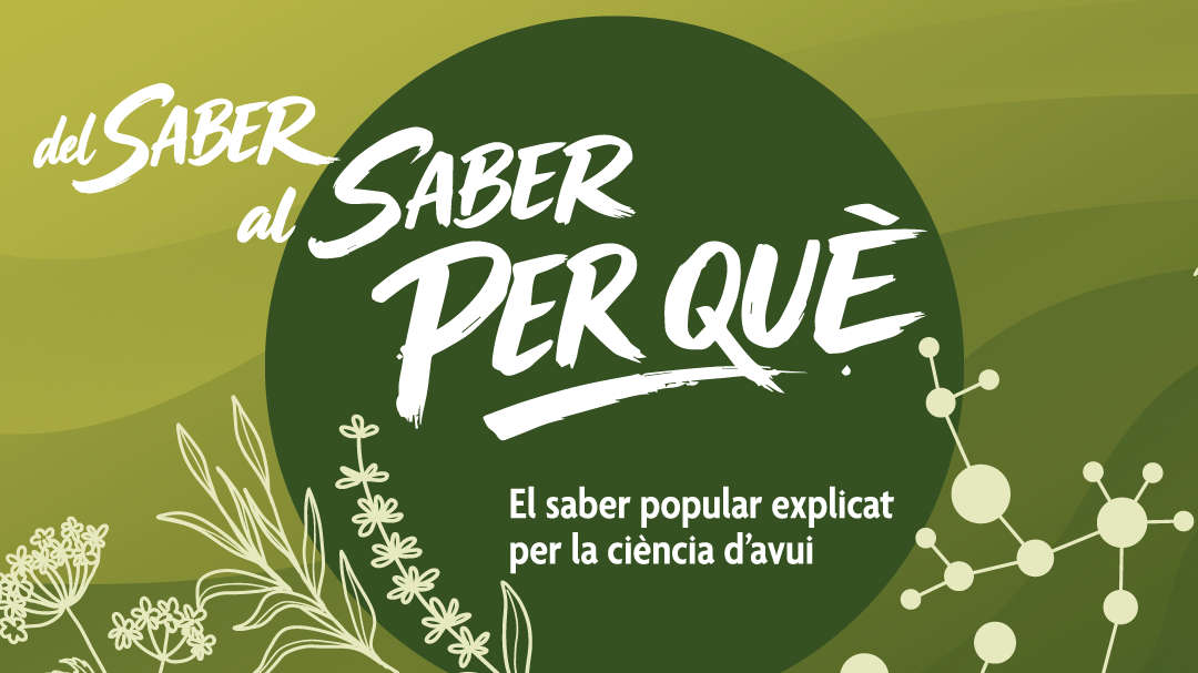 Baner_Web_Remeis_FCRI