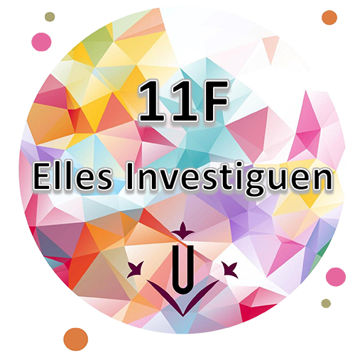 11F / Elles investiguen