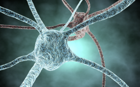 Noticia_CienciaAlsBarris_15_05_26