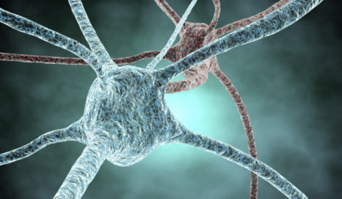 Noticia_CienciaAlsBarris_15_05_26