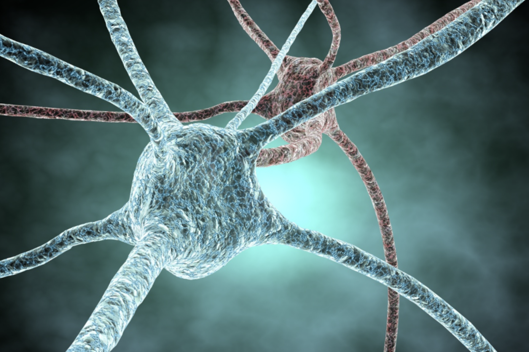 Noticia_CienciaAlsBarris_15_05_26